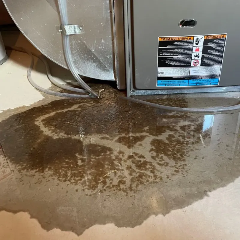 Pipe Burst and Leak Restoration in Kearns, UT